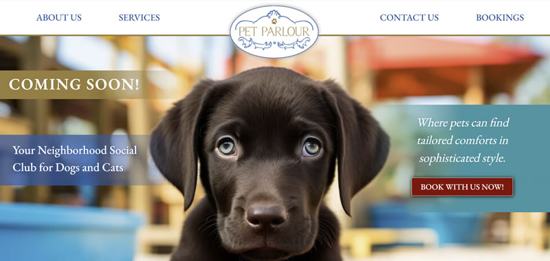 PetParlour (800x379)