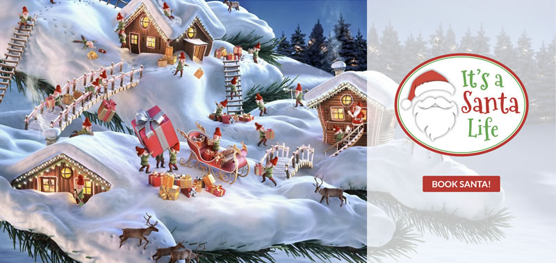 Santa (800x379)